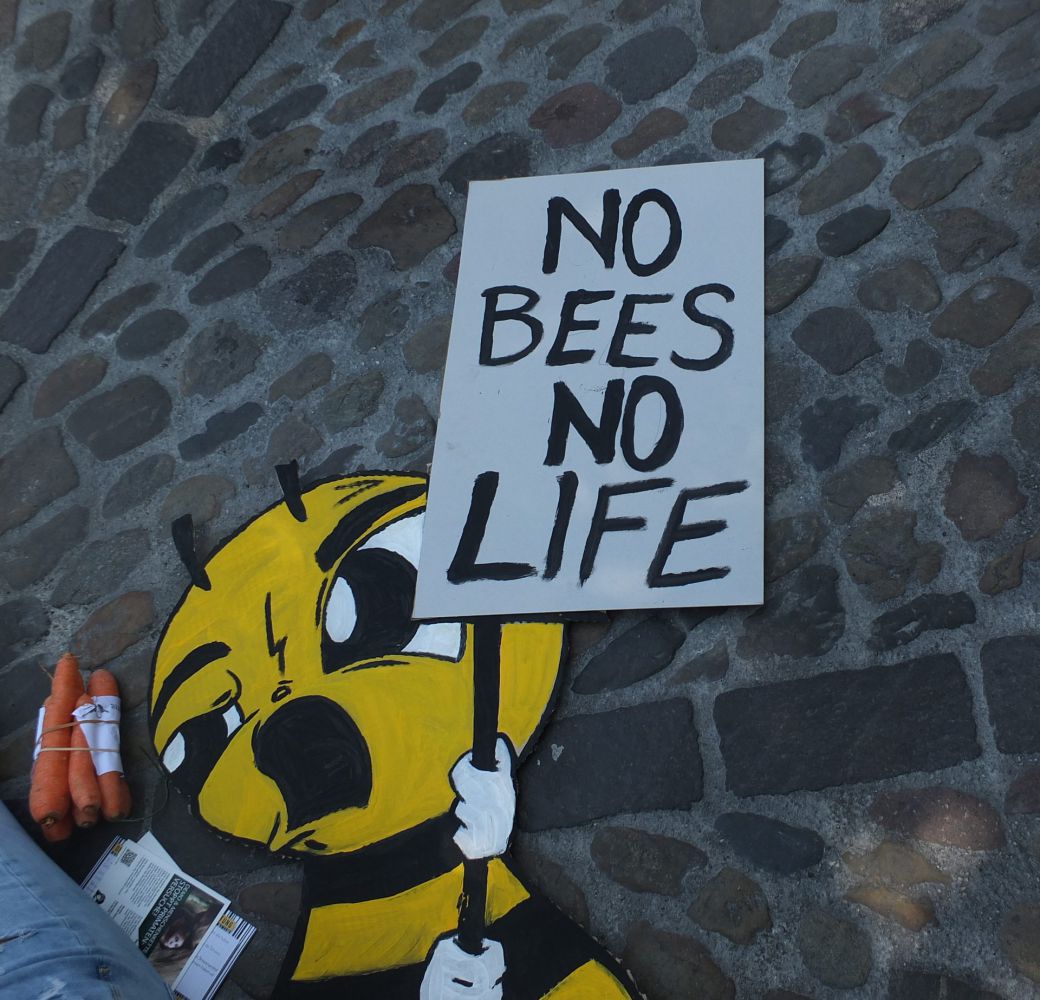 Bienensterben_mdw2018